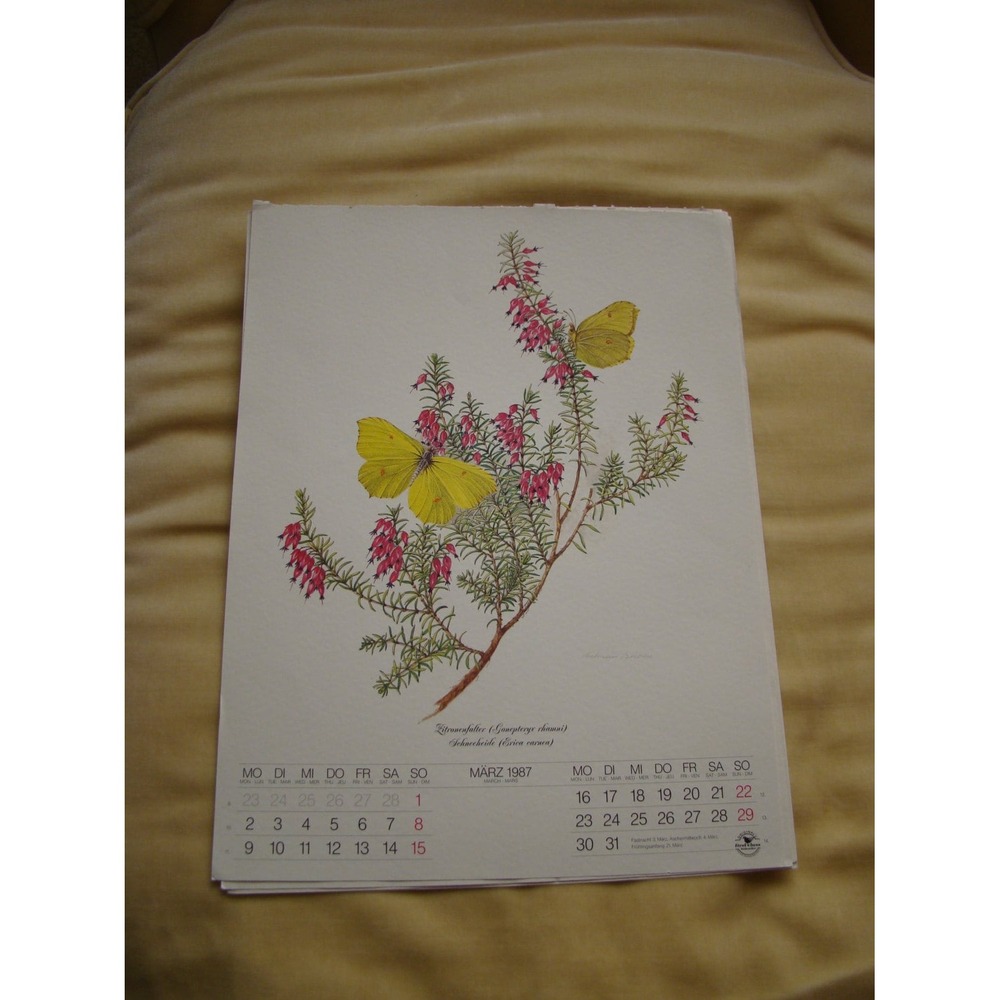 VTG Botanical Plate 1987 March German Calendar Kalendar Floral Yellow Butterfly